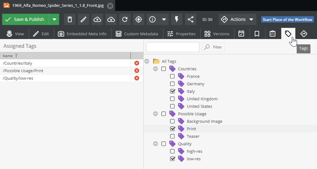 API for gettings tags for the shown demo asset.